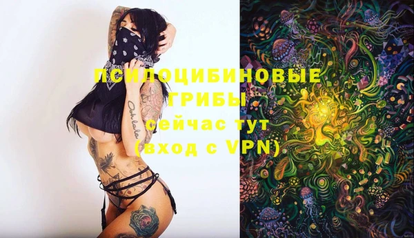 крисы Балахна