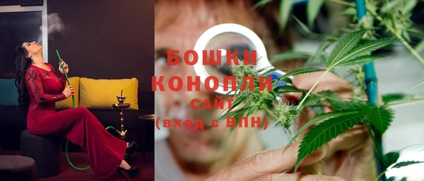 крисы Балахна