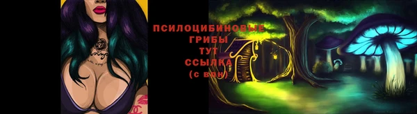 крисы Балахна
