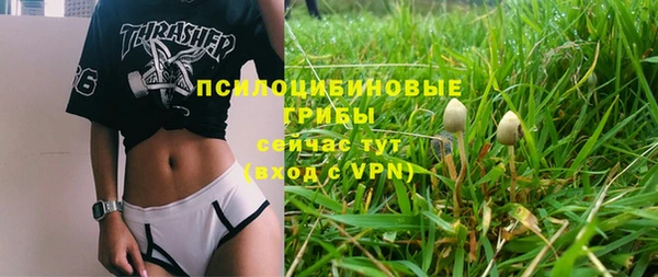 крисы Балахна