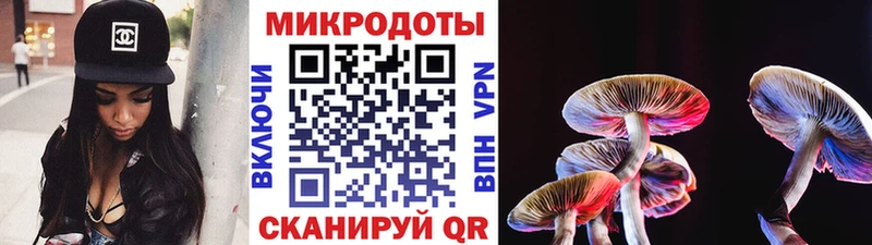 блэк спрут зеркало  где купить   Вихоревка  Псилоцибиновые грибы GOLDEN TEACHER 